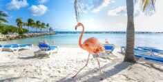 Aruba Travel Guide / The optimal island guide for One Happy Island