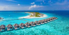 Maldives Honeymoon